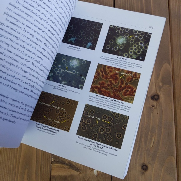 Rainbow Green Live-Food Cuisine by Gabriel Cousens M.D. 2003 Paperback - Picture 7 of 11